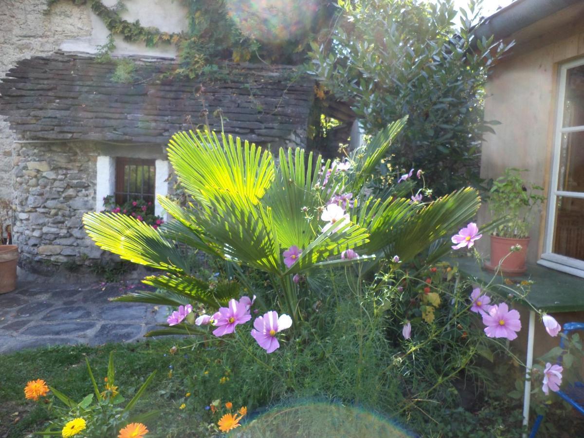 B&B Casa Codega Intragna Εξωτερικό φωτογραφία