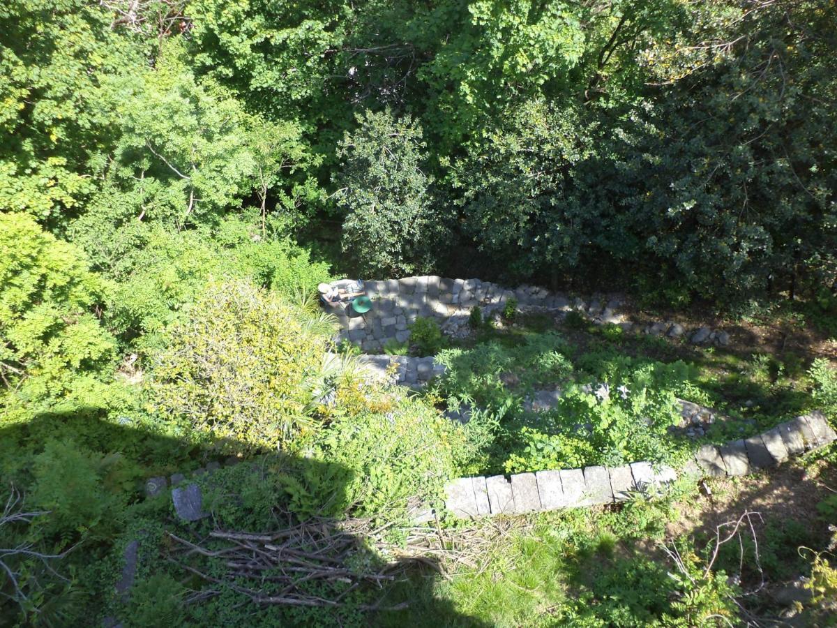 B&B Casa Codega Intragna Εξωτερικό φωτογραφία